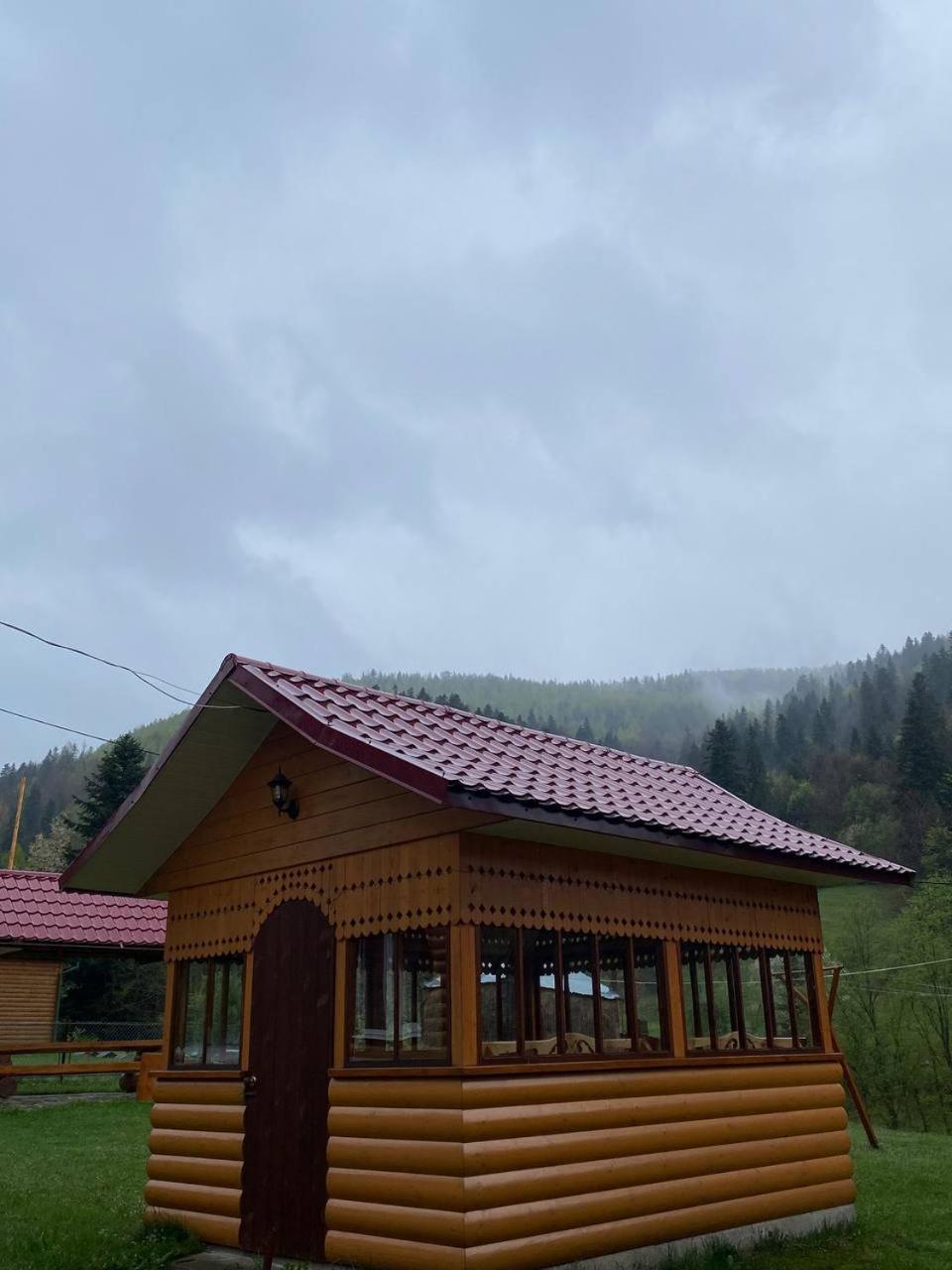 карпатська полонина * Yaremche